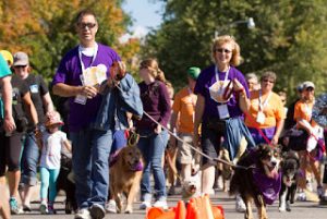 Walk or Run and Show You Care - Ottawa Humane Society