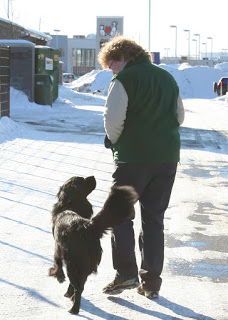 dog walker