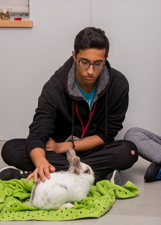 Animal Advocate Program - Ottawa Humane Society