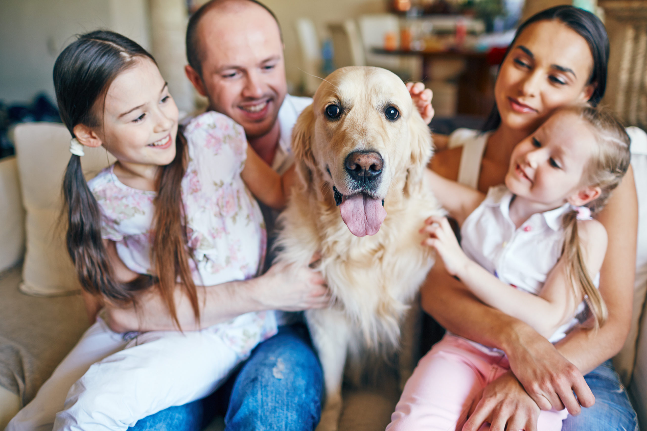 Общение с домашними животными. Семья с собакой. Счастливая семья с домашними животными. Семейная фотосессия с собакой. Счастливая семья с собакой.
