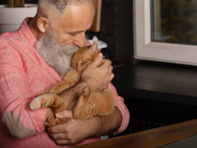 senior man holding a sleeping orange cat