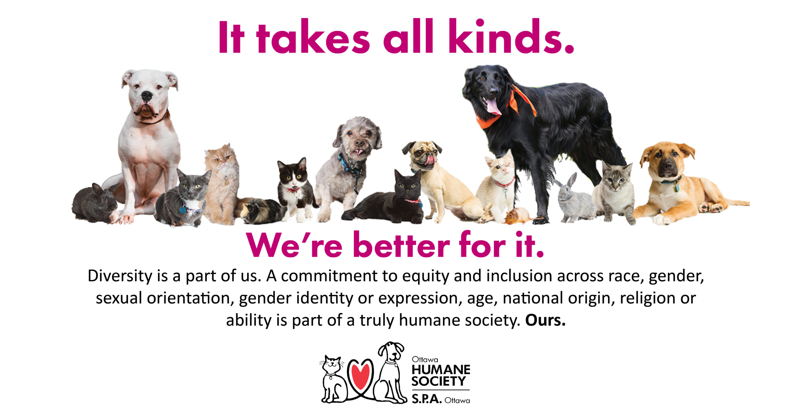 Volunteer Opportunities - Ottawa Humane Society