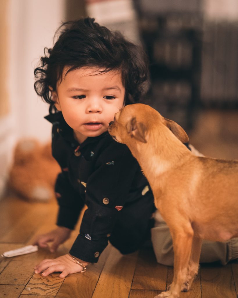 small child and small dog on the floor looking at one another