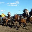 Chuck horse racing