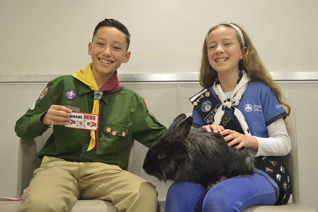 Two children wearing scouts uniforms holding a rabbit and a pet crest patch