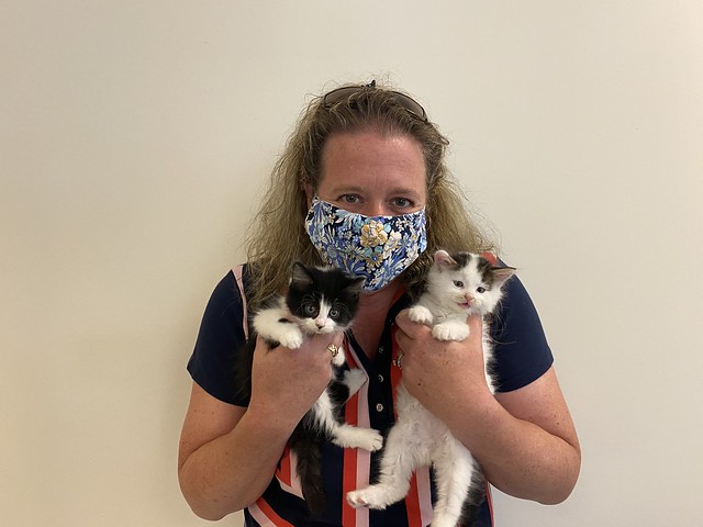 foster volunteer wearing mask holding two kittens