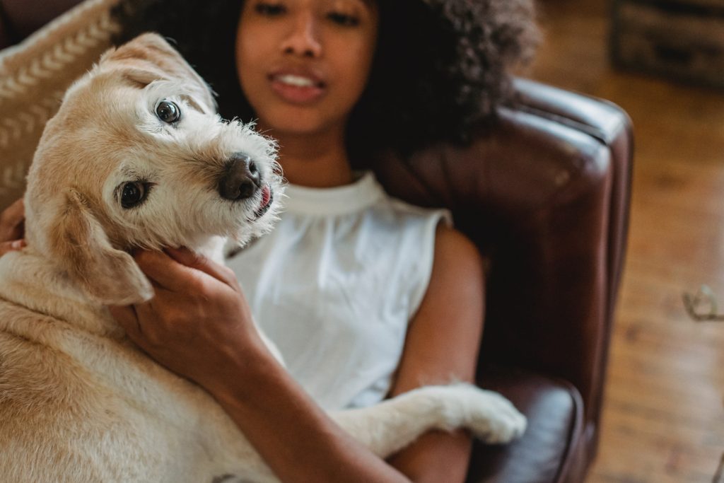 Woman laying on couch petting dog