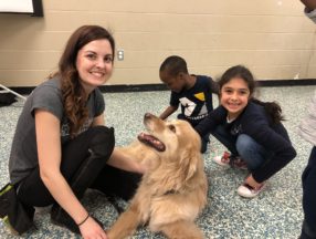 people petting dog