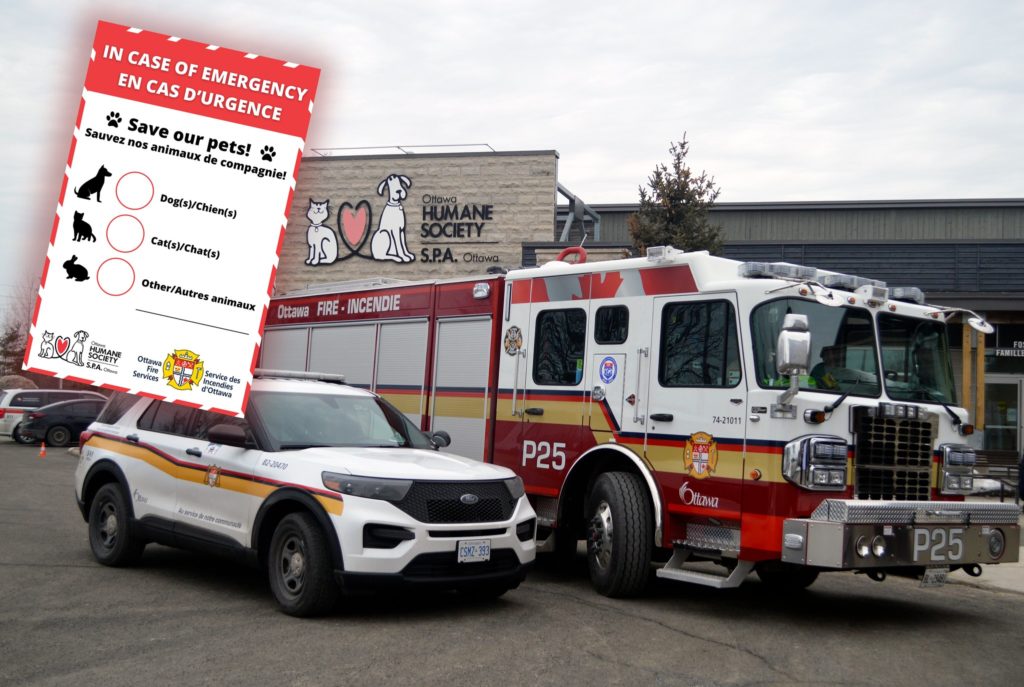 OFS firetruck parked outside Ottawa Humane Society with emergency decal in the corner of the photograph