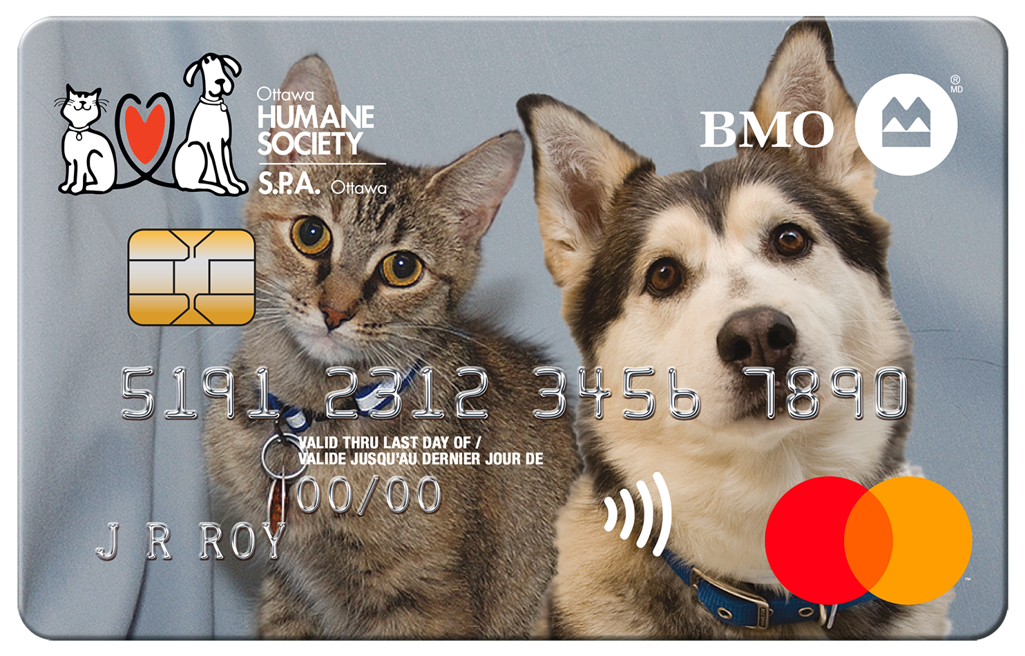 BMO Mastercard with animals.