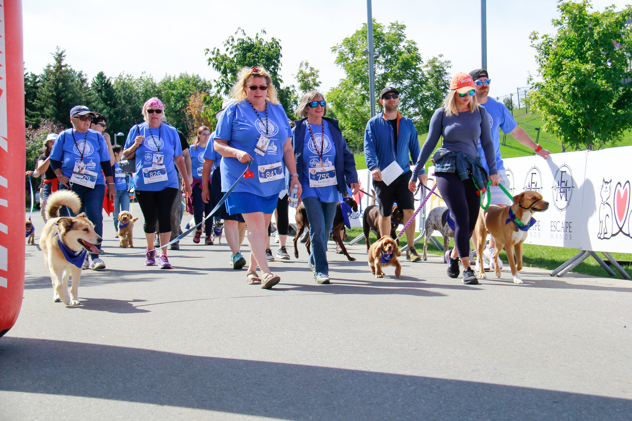 The Animals Are Ready to Wiggle, Walk and Run. Are You? - Ottawa Humane  Society