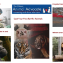 multiple animal advocate articles in a collage