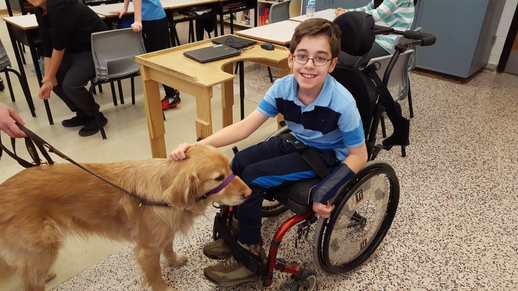child in a wheelchair petting a large golden retriever