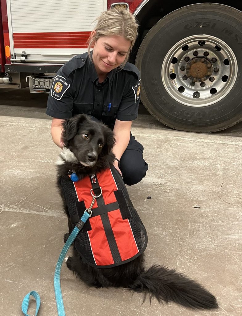 Fire fighter with a volunteer dog.