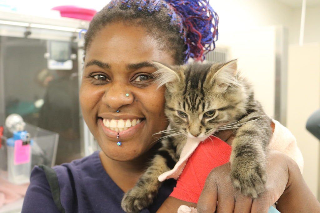 Animal care attendant with a cat