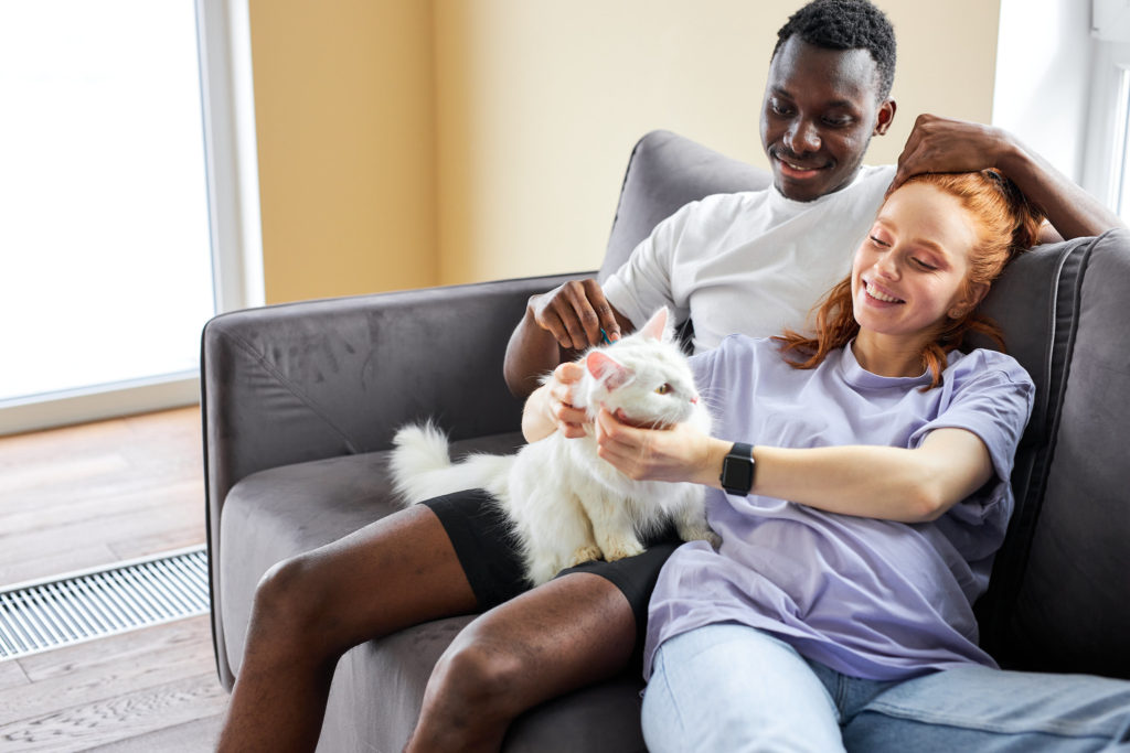 Couple with cat on couch