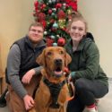 A couple adopting a brown dog. A Christmas tree is behind them.